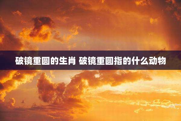 破镜重圆的生肖 破镜重圆指的什么动物