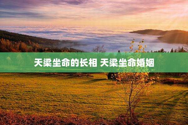 天梁坐命的长相 天梁坐命婚姻