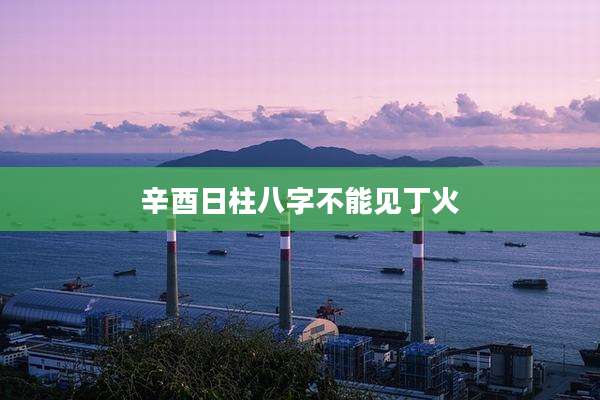 辛酉日柱八字不能见丁火