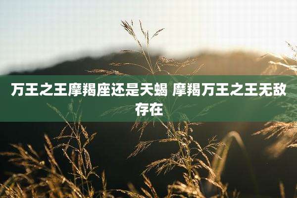 万王之王摩羯座还是天蝎 摩羯万王之王无敌存在