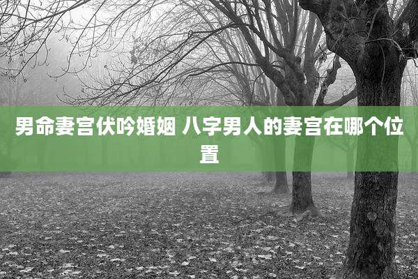 男命妻宫伏吟婚姻 八字男人的妻宫在哪个位置