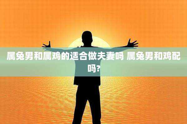 属兔男和属鸡的适合做夫妻吗 属兔男和鸡配吗?