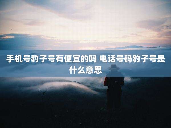 手机号豹子号有便宜的吗 电话号码豹子号是什么意思