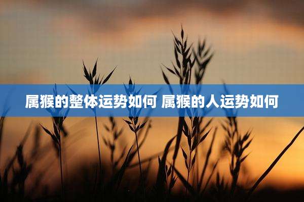 属猴的整体运势如何 属猴的人运势如何