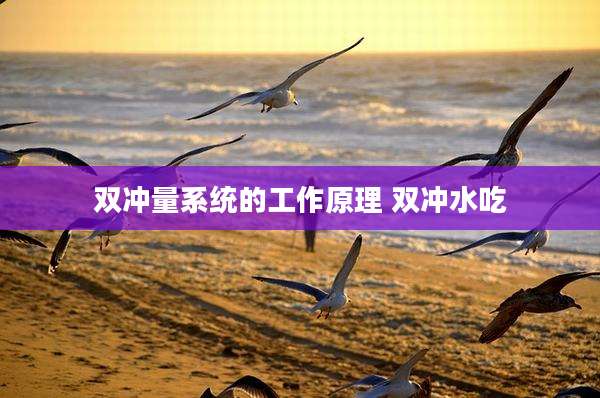 双冲量系统的工作原理 双冲水吃
