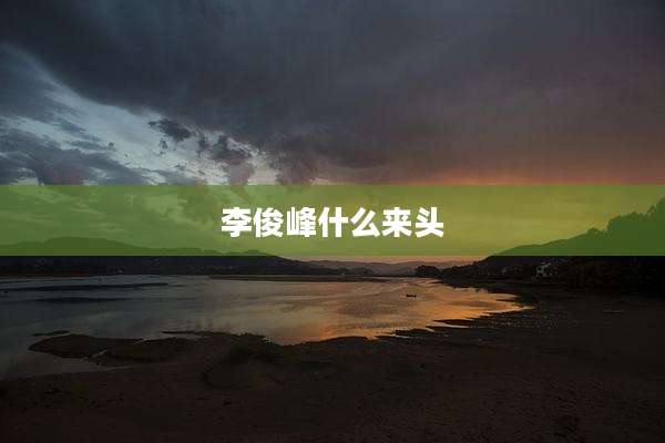 李俊峰什么来头