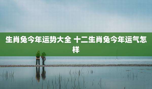 生肖兔今年运势大全 十二生肖兔今年运气怎样