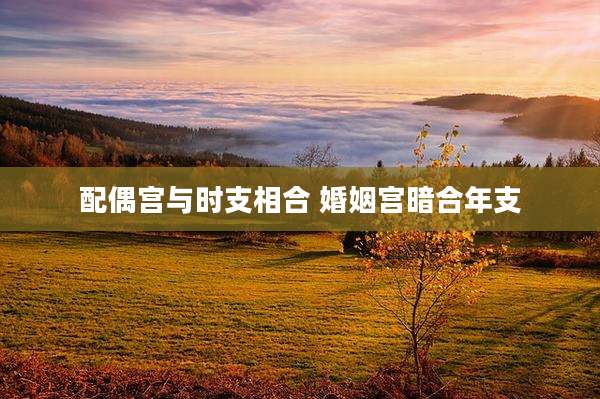 配偶宫与时支相合 婚姻宫暗合年支