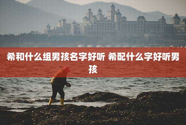 希和什么组男孩名字好听 希配什么字好听男孩