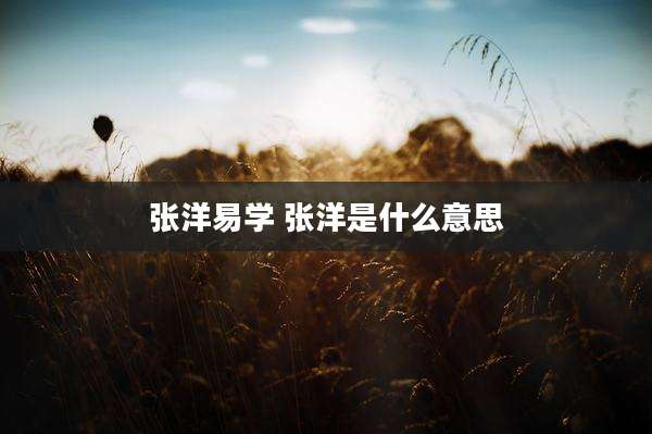 张洋易学 张洋是什么意思