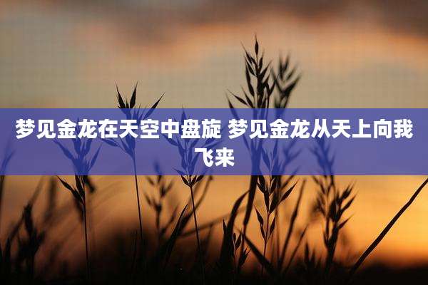 梦见金龙在天空中盘旋 梦见金龙从天上向我飞来