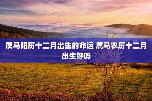属马阳历十二月出生的命运 属马农历十二月出生好吗