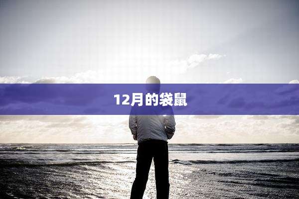12月的袋鼠