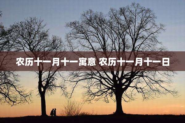 农历十一月十一寓意 农历十一月十一日