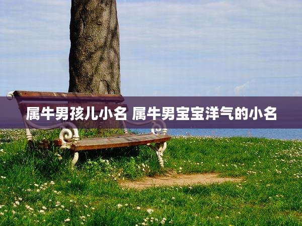 属牛男孩儿小名 属牛男宝宝洋气的小名