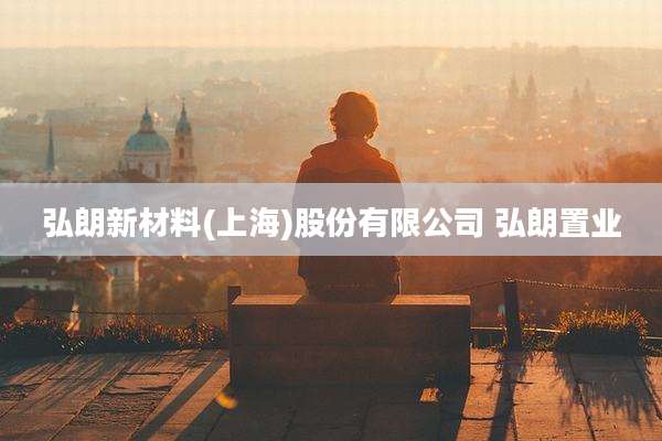 弘朗新材料(上海)股份有限公司 弘朗置业