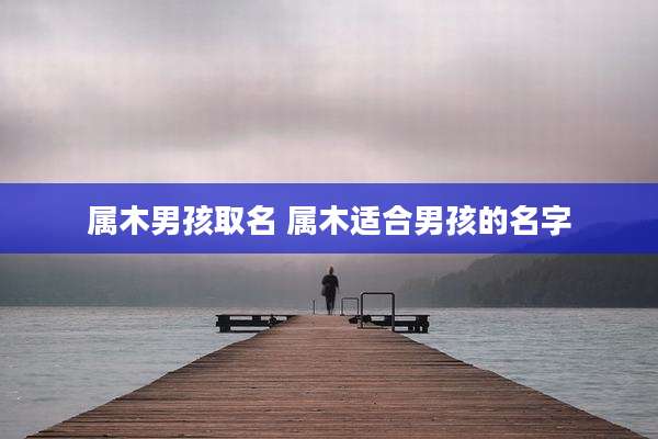 属木男孩取名 属木适合男孩的名字