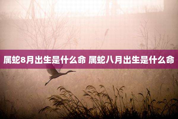 属蛇8月出生是什么命 属蛇八月出生是什么命