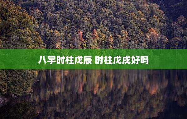 八字时柱戊辰 时柱戊戌好吗