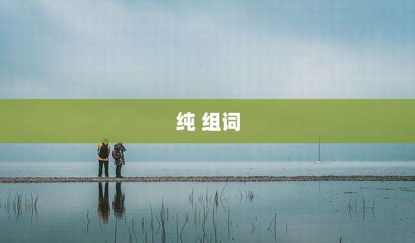 纯 组词