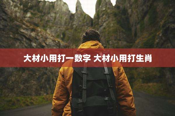 大材小用打一数字 大材小用打生肖