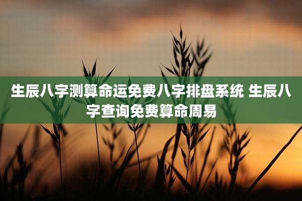 生辰八字测算命运免费八字排盘系统 生辰八字查询免费算命周易