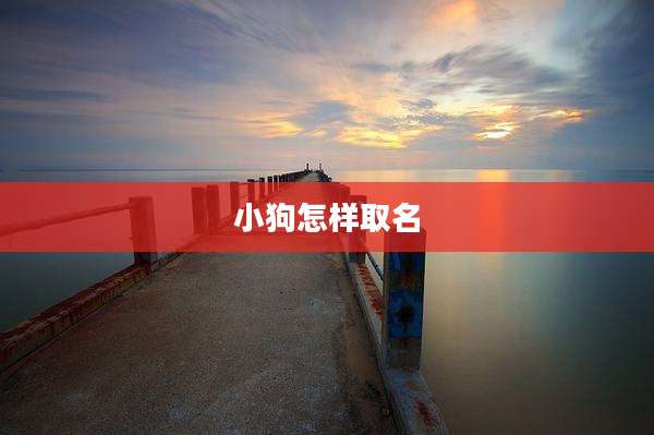小狗怎样取名