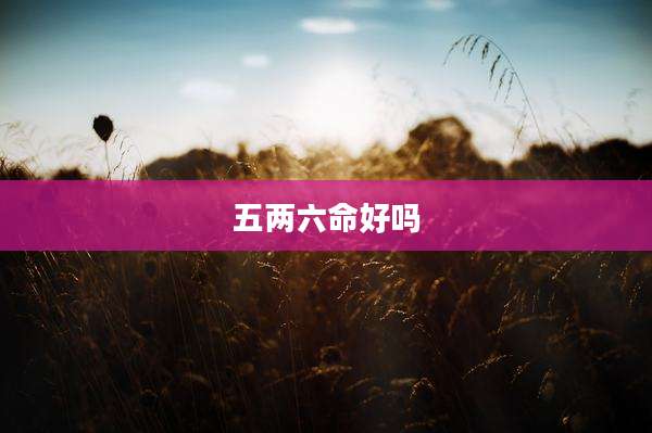 五两六命好吗
