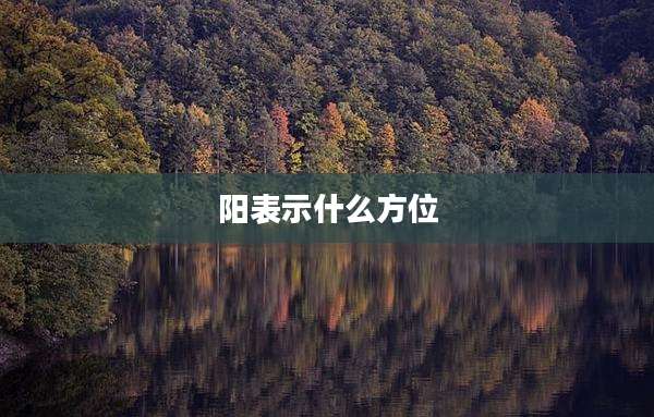 阳表示什么方位