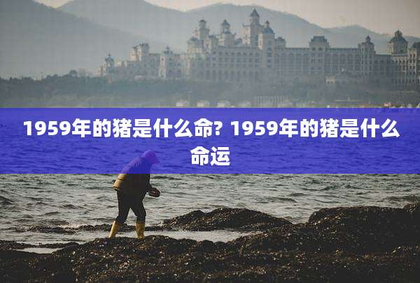 1959年的猪是什么命? 1959年的猪是什么命运