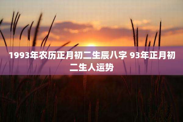 1993年农历正月初二生辰八字 93年正月初二生人运势