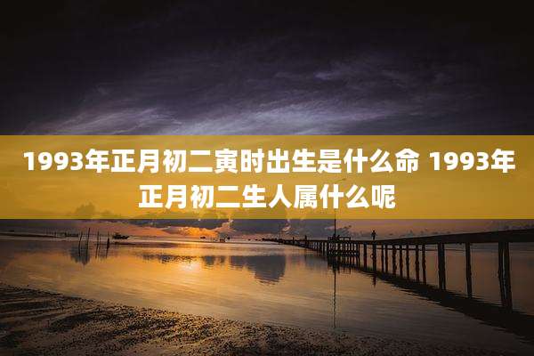 1993年正月初二寅时出生是什么命 1993年正月初二生人属什么呢