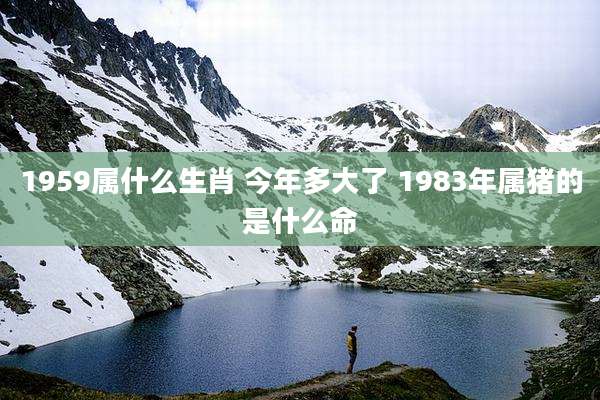 1959属什么生肖 今年多大了 1983年属猪的是什么命