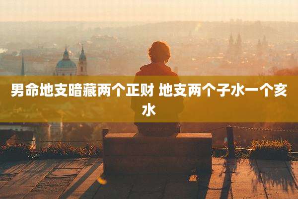 男命地支暗藏两个正财 地支两个子水一个亥水
