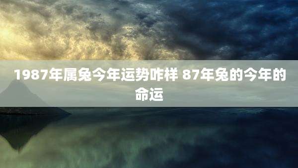 1987年属兔今年运势咋样 87年兔的今年的命运