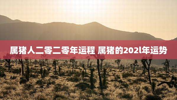 属猪人二零二零年运程 属猪的202l年运势