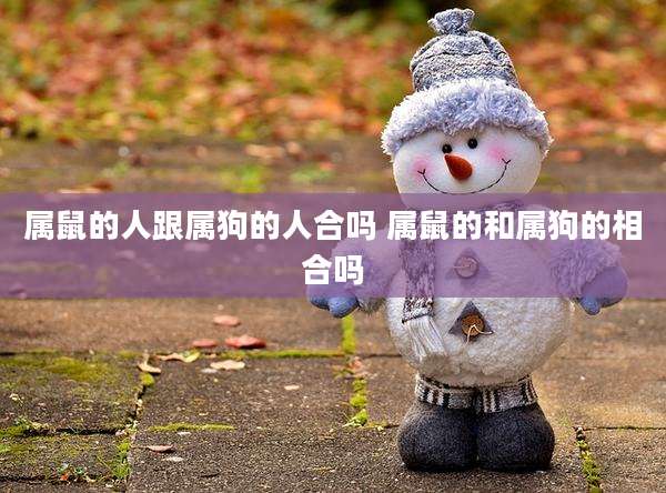 属鼠的人跟属狗的人合吗 属鼠的和属狗的相合吗