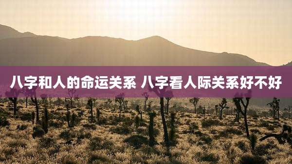 八字和人的命运关系 八字看人际关系好不好