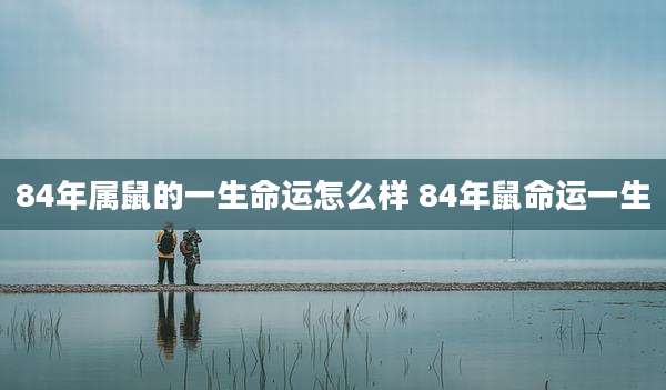 84年属鼠的一生命运怎么样 84年鼠命运一生