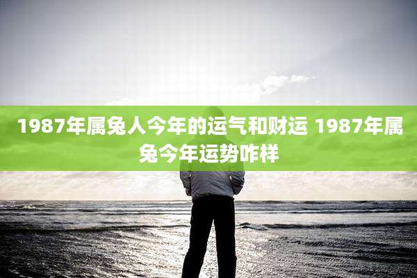 1987年属兔人今年的运气和财运 1987年属兔今年运势咋样