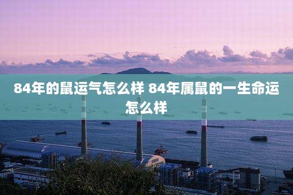 84年的鼠运气怎么样 84年属鼠的一生命运怎么样