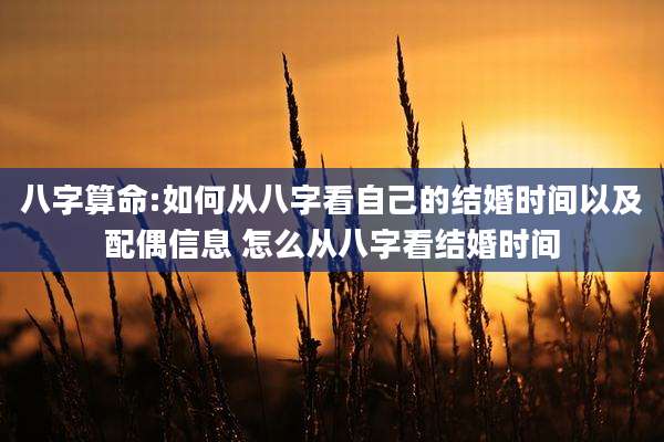 八字算命:如何从八字看自己的结婚时间以及配偶信息 怎么从八字看结婚时间