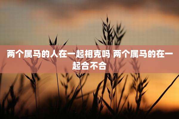 两个属马的人在一起相克吗 两个属马的在一起合不合