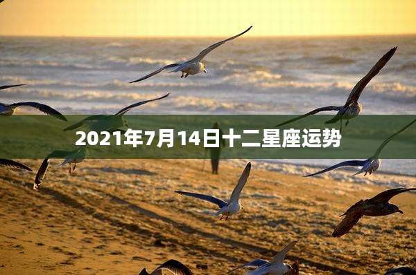 2021年7月14日十二星座运势