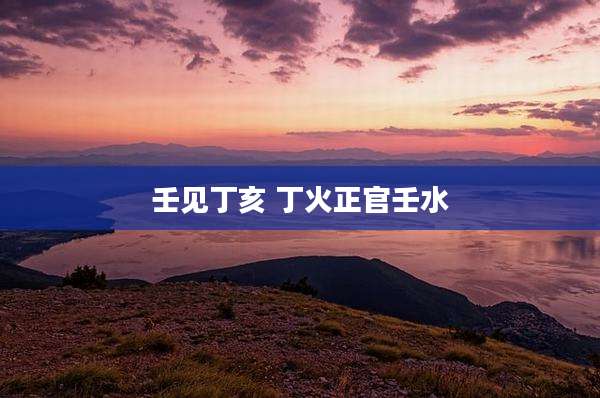 壬见丁亥 丁火正官壬水