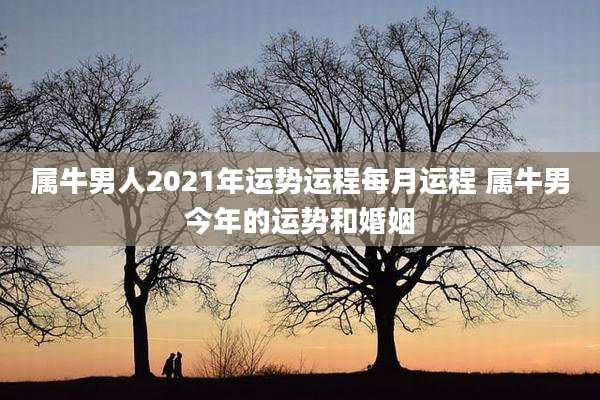 属牛男人2021年运势运程每月运程 属牛男今年的运势和婚姻