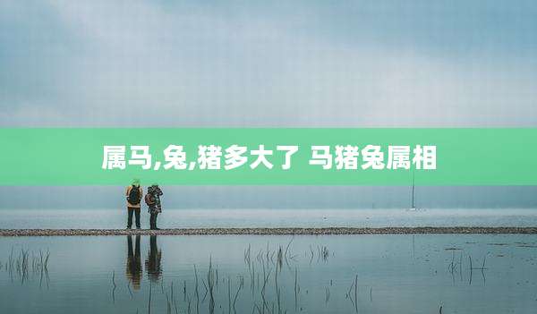 属马,兔,猪多大了 马猪兔属相