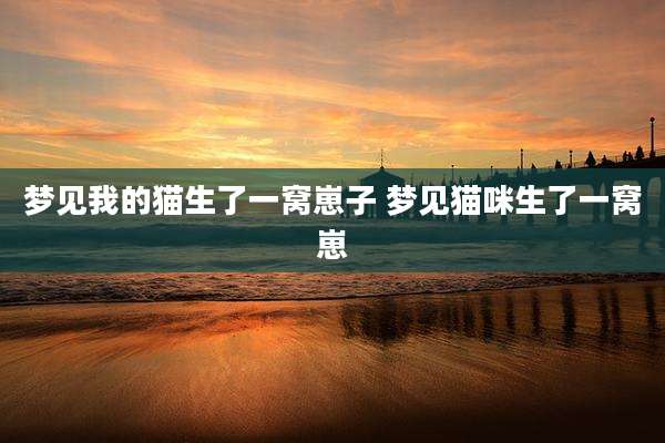 梦见我的猫生了一窝崽子 梦见猫咪生了一窝崽