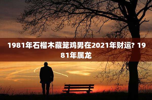 1981年石榴木藏笼鸡男在2021年财运? 1981年属龙