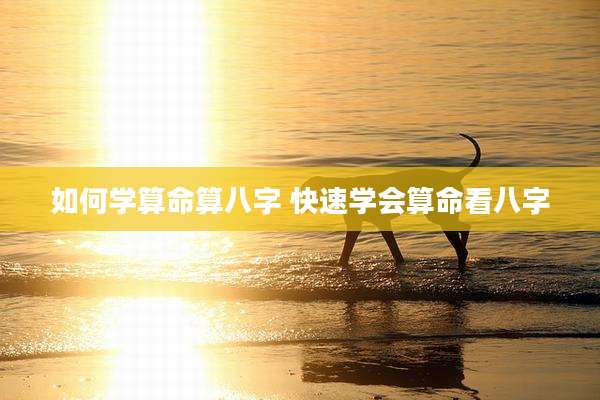 如何学算命算八字 快速学会算命看八字